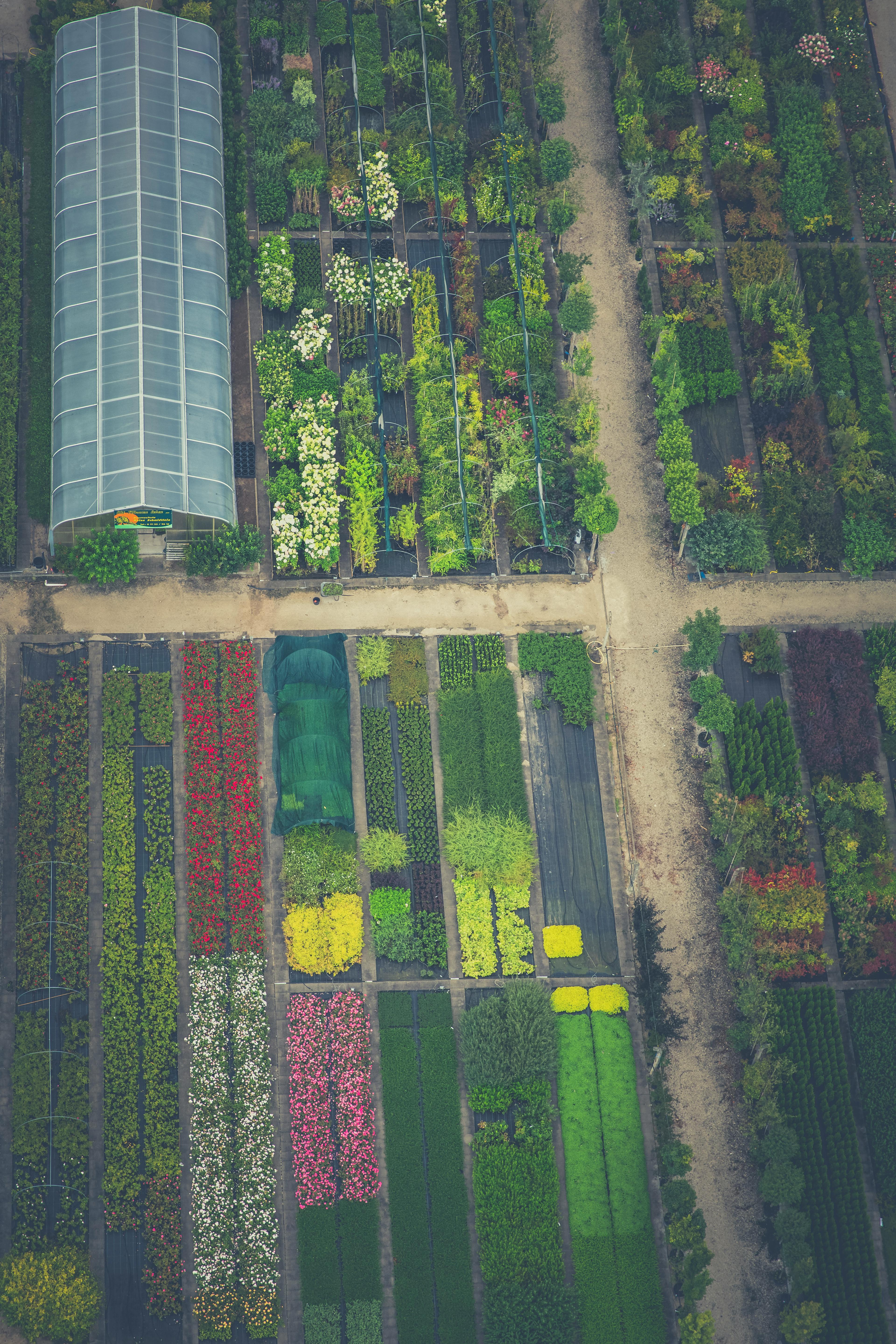 Gartenplanung Beispiel