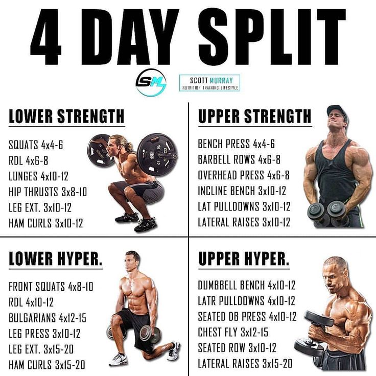 4er Split Diagramm